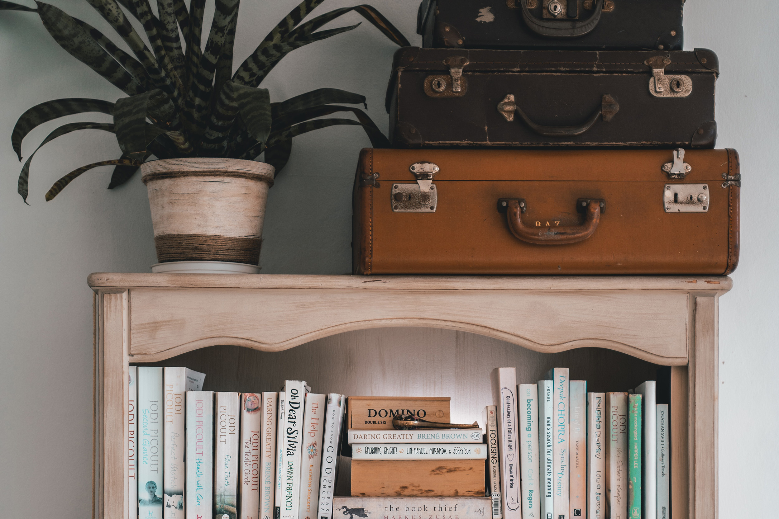 plant and small suitcases or briefcases on top of a bookshelf full of books